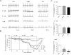 Supplementary Fig. 3