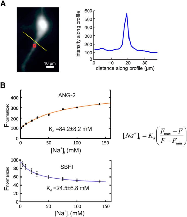 Figure 5.