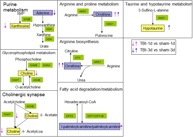 Figure 13