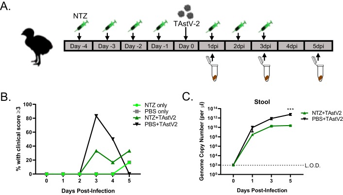 FIG 4