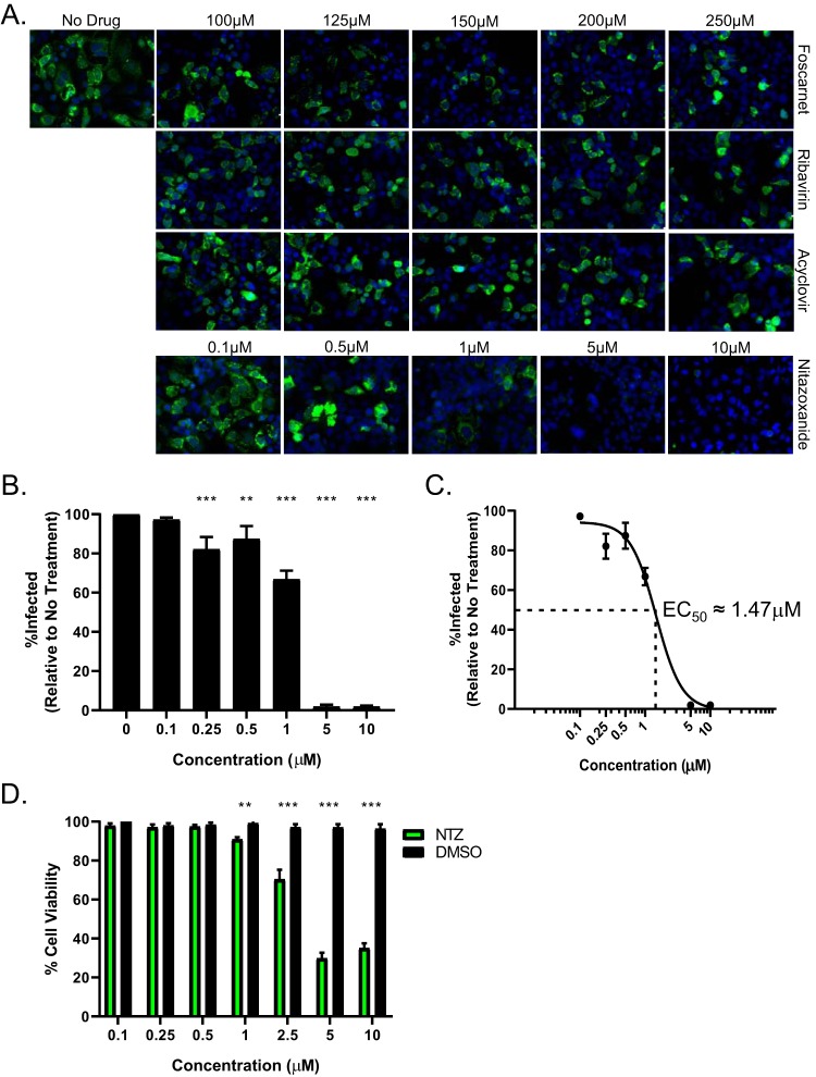 FIG 1