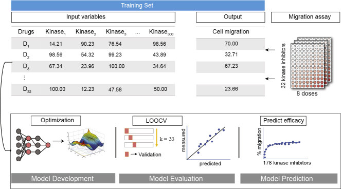 Figure 1