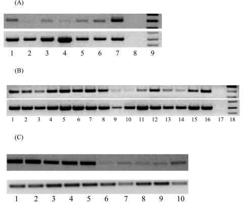 Fig. (1)