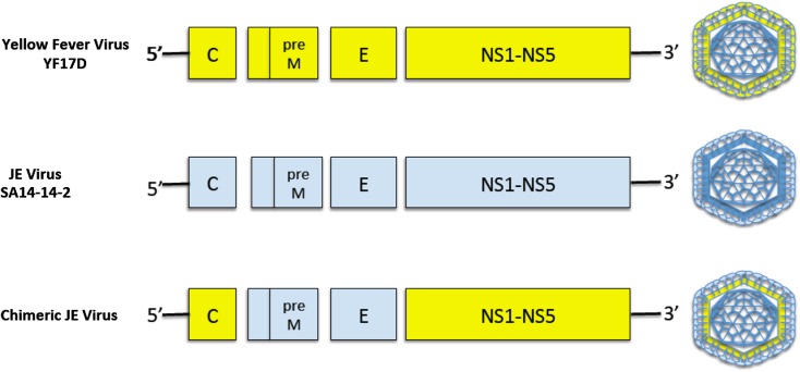 Fig. 2