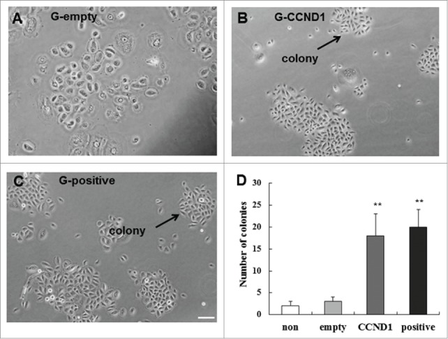 Figure 7.