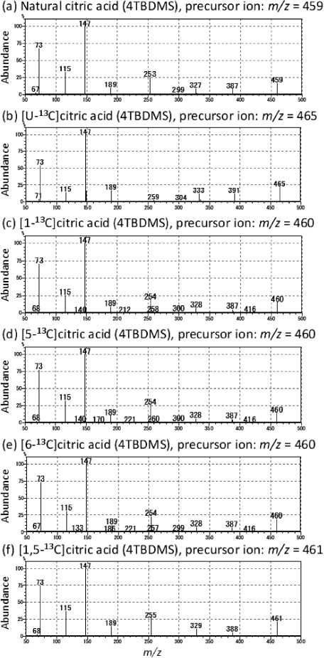 Fig. 3. CID-induced fragmentation of TBDMS-derivatized citric acid.