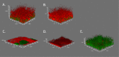 Fig 5