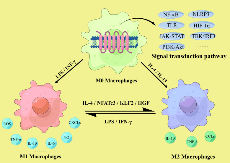 Figure 2