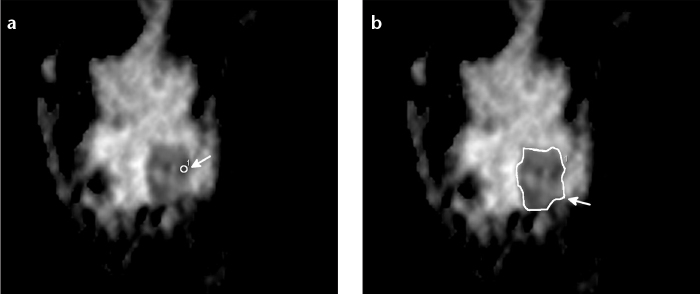 Figure 1. a, b.