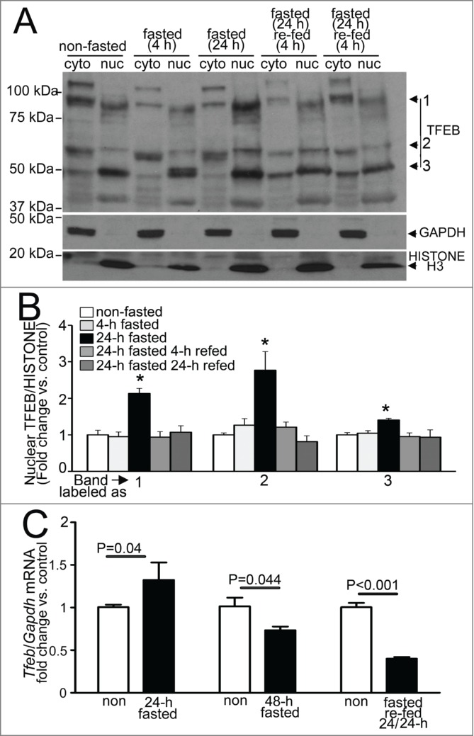 Figure 11.