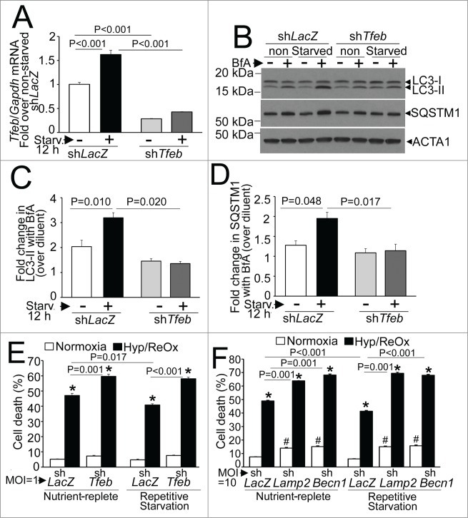 Figure 12.