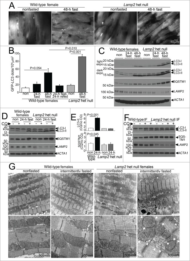 Figure 2 (See previous page).