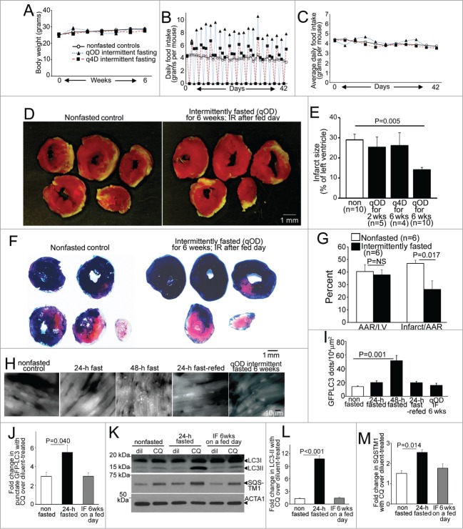 Figure 1 (See previous page).