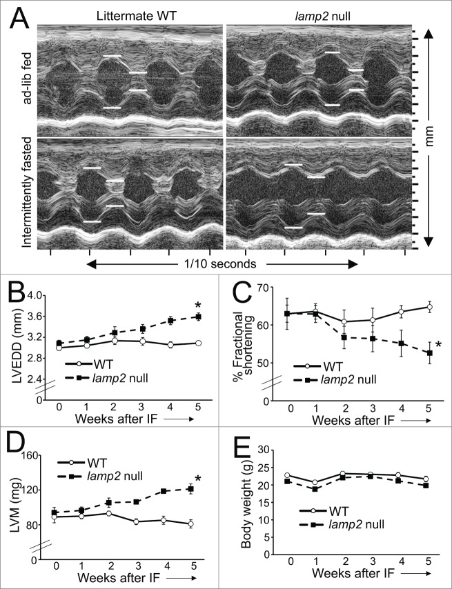 Figure 5 (See previous page).