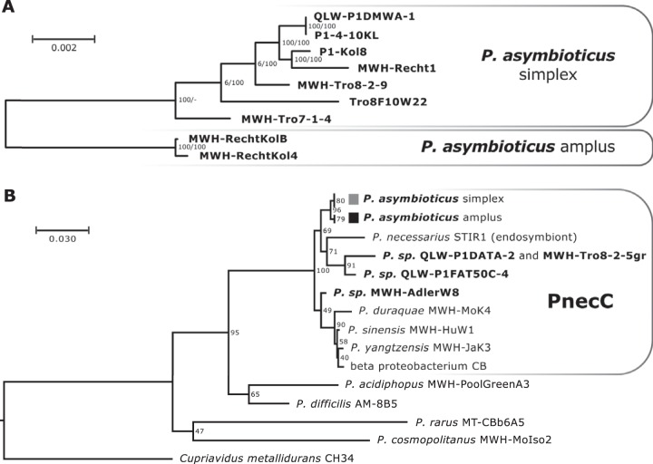 FIG 2