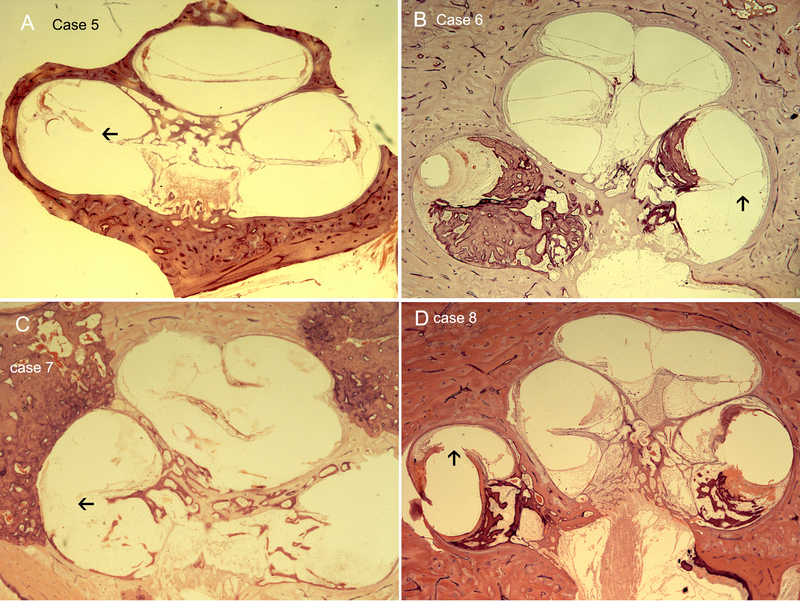 Fig 2.