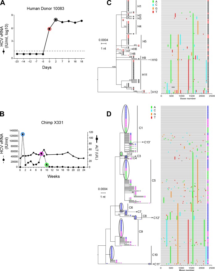 FIG 4