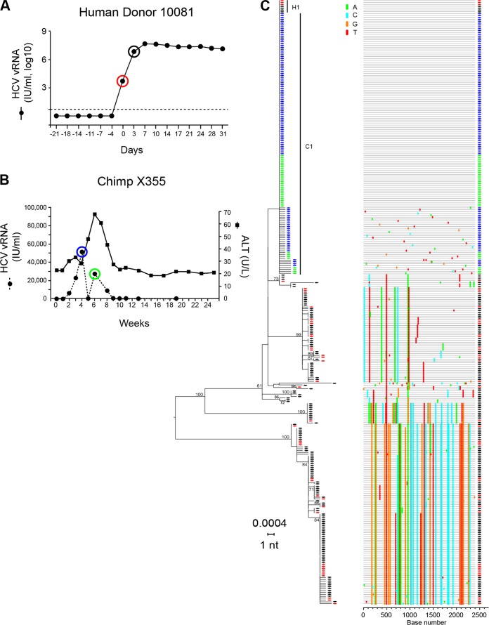 FIG 3