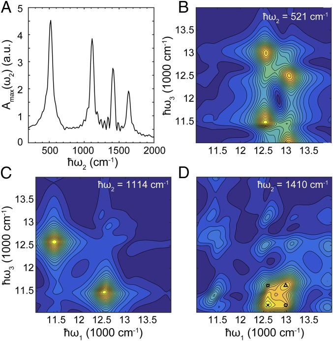 Fig. 3.