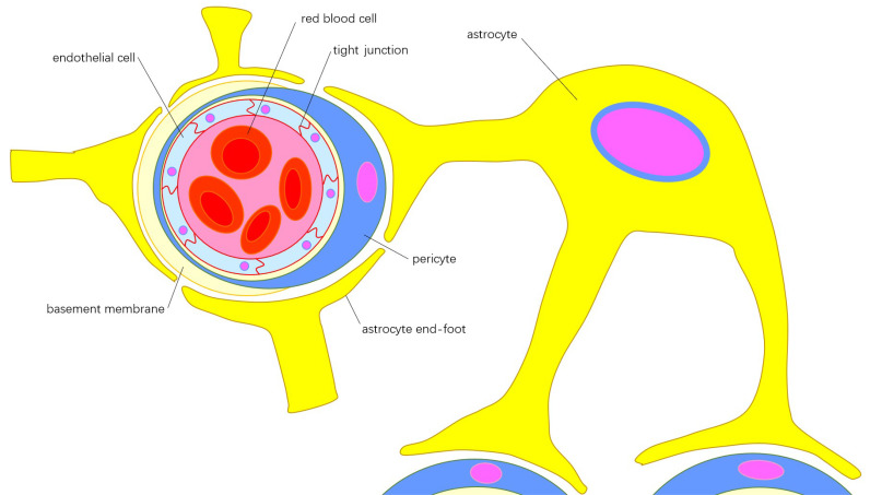 Fig. (1)