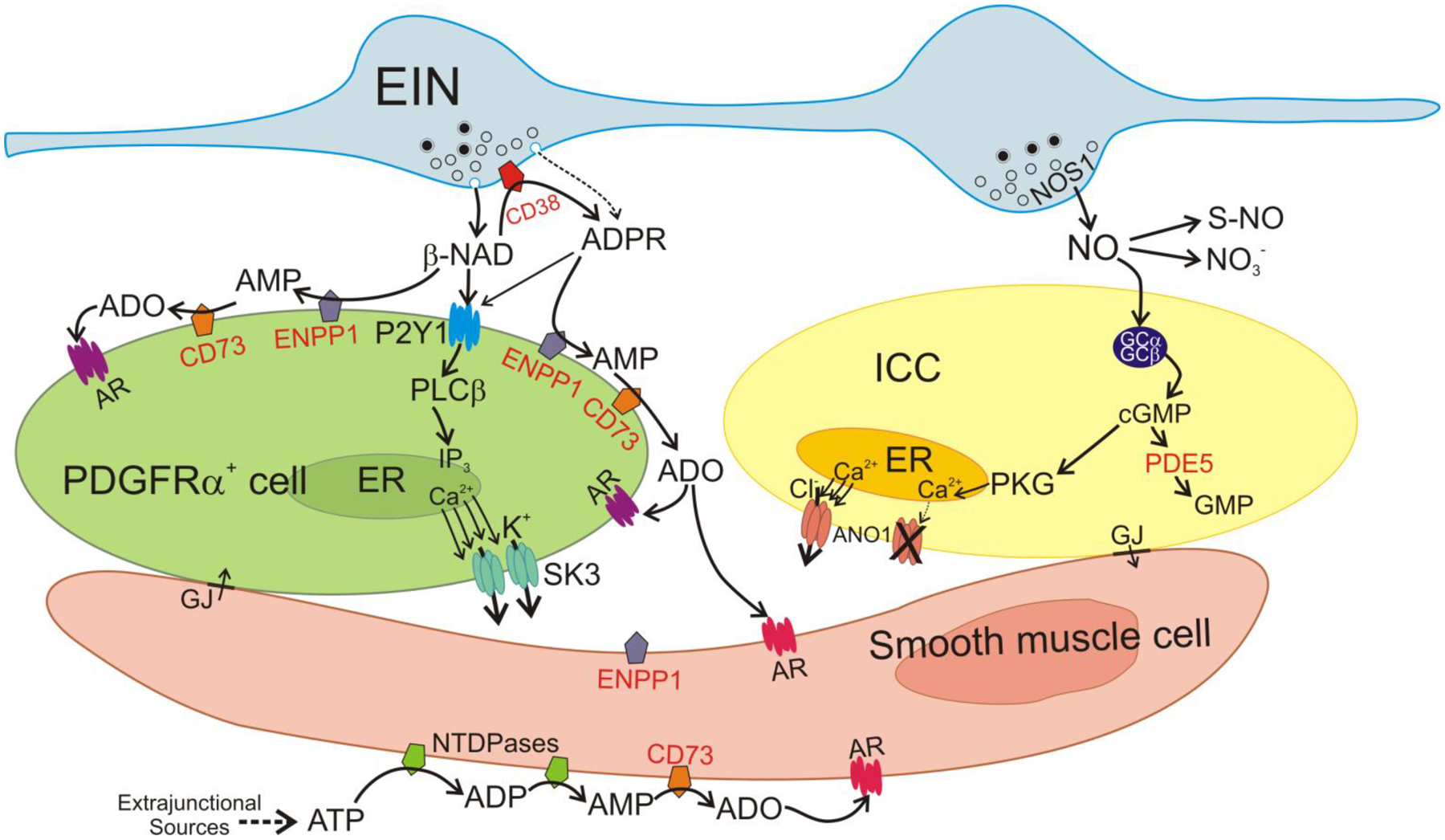 Figure 6.