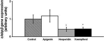 Fig. 4