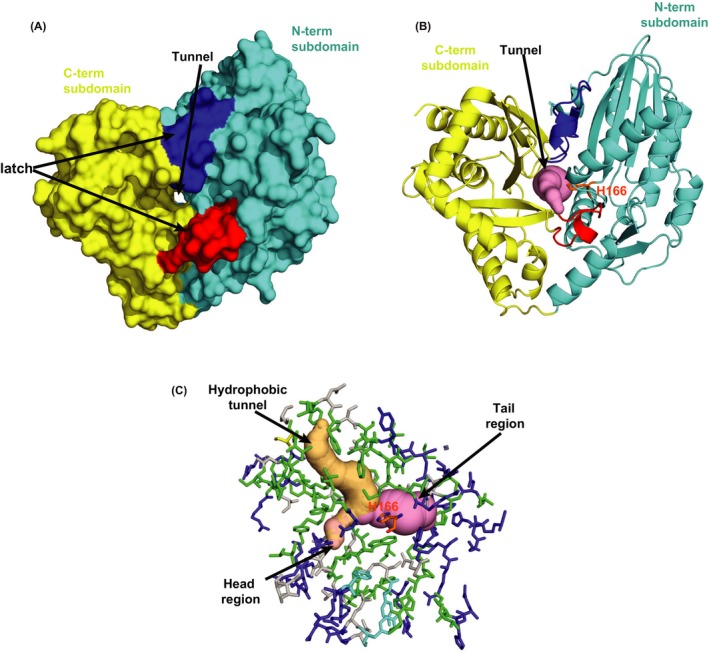 Figure 4