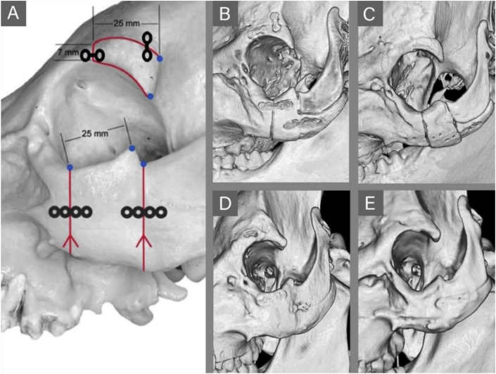 Fig. 2