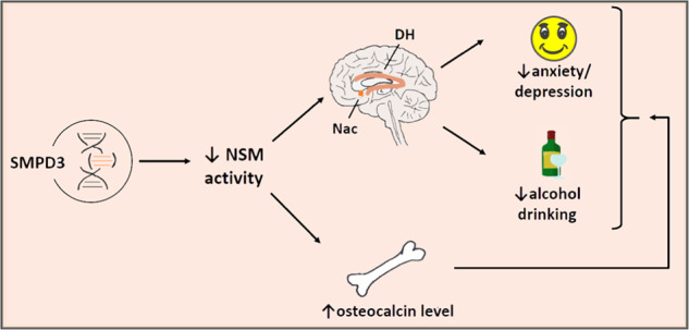 Fig. 8