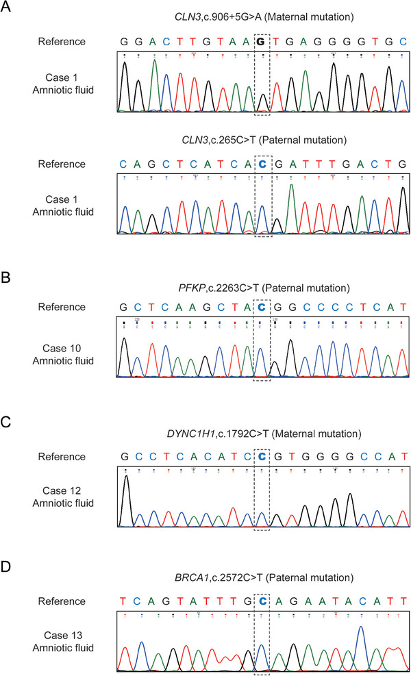 Figure 6