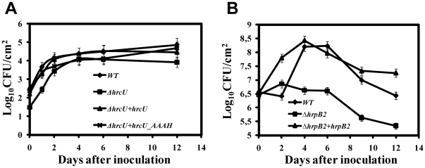 Figure 7