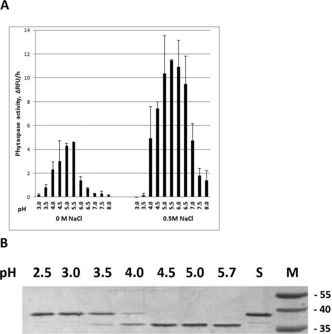 FIGURE 5.