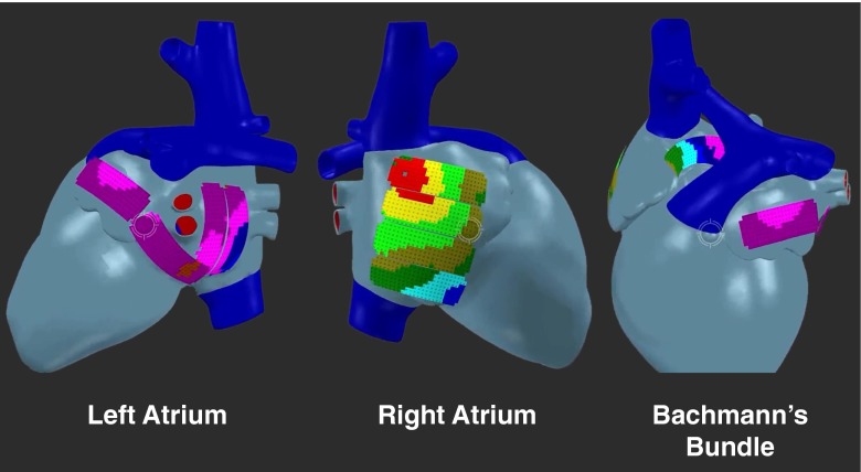 Fig. 4