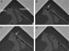 Fig. 9