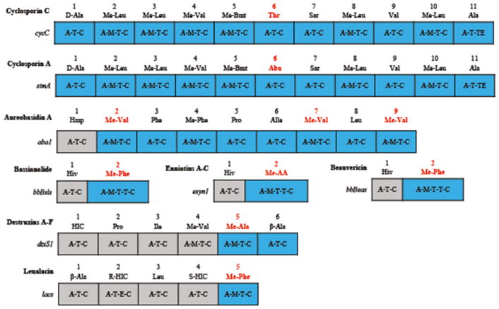 Fig. 7