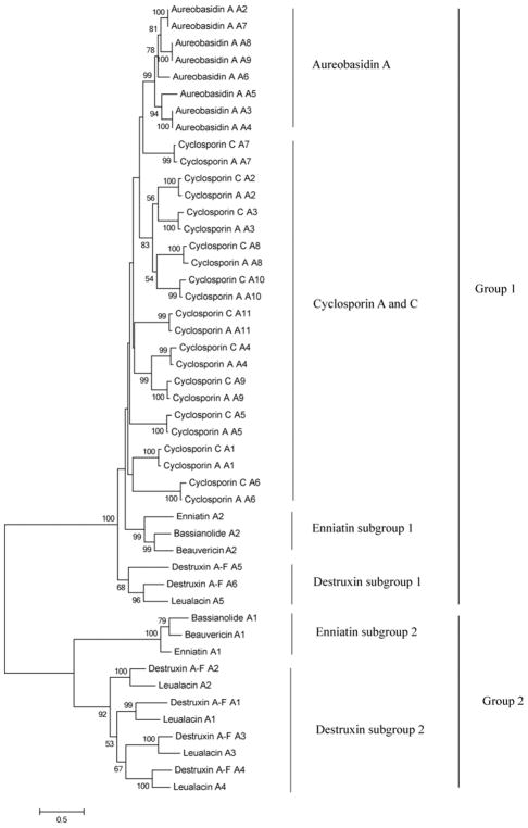 Fig. 6