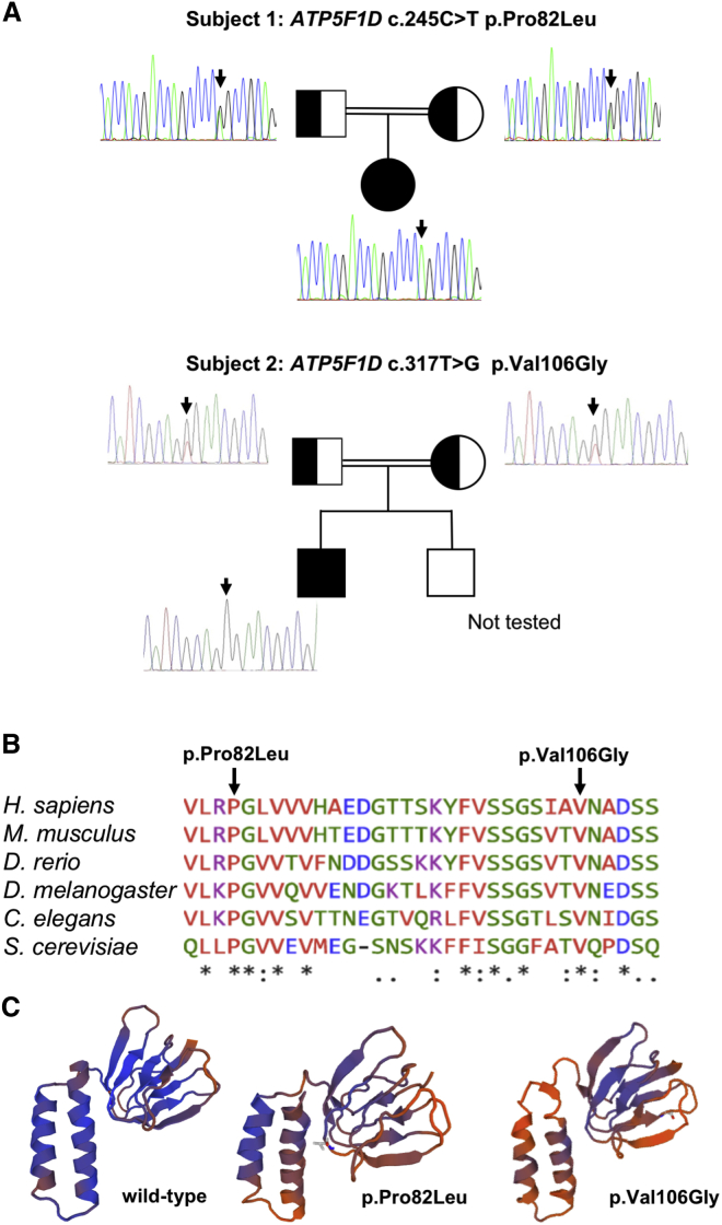 Figure 1