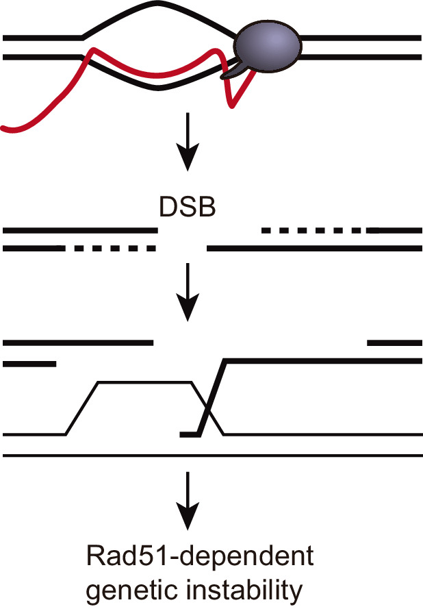 Figure 8.