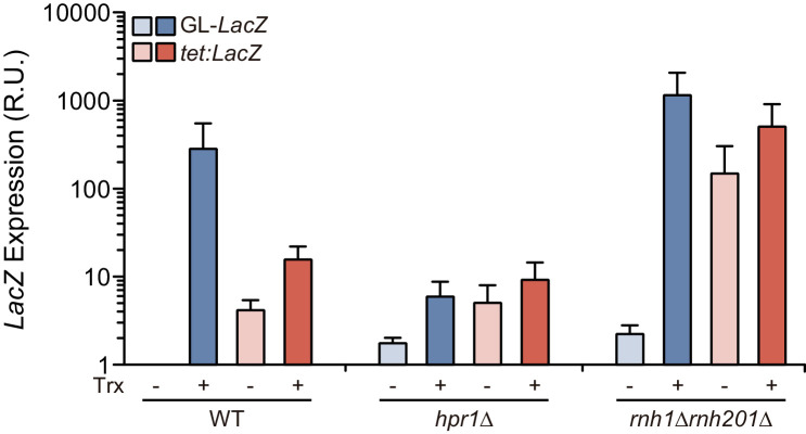 Figure 1—figure supplement 1.