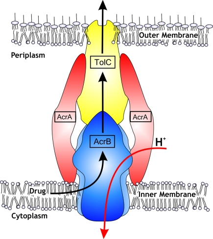 Fig. 1.