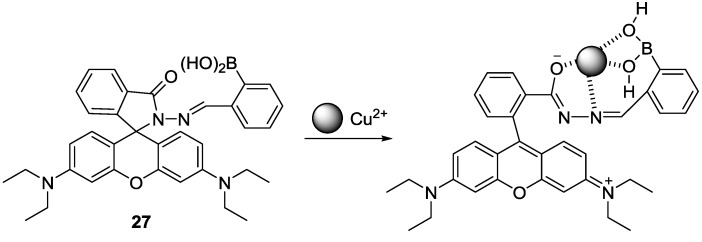 Figure 23