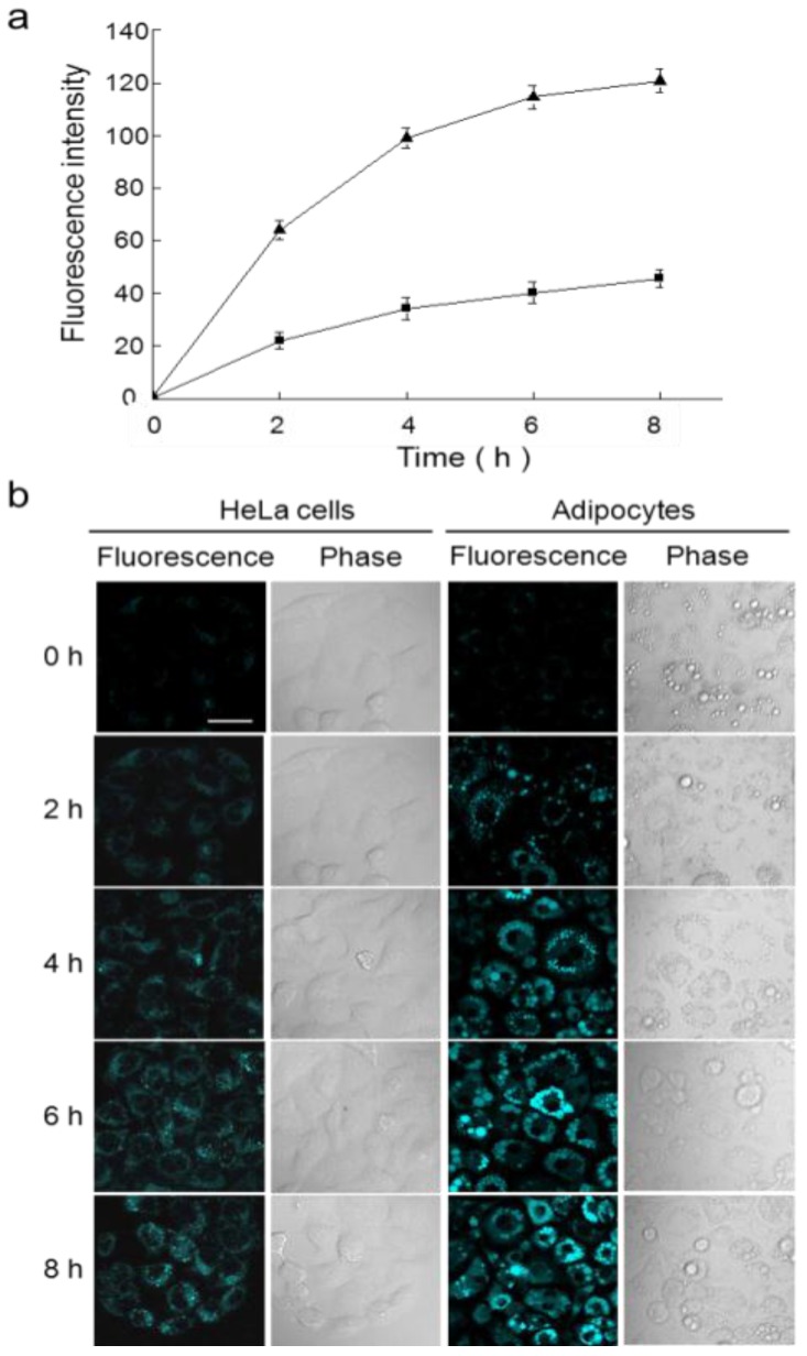 Figure 26