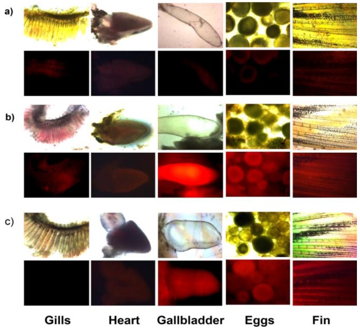 Figure 22