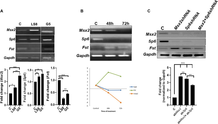 FIGURE 3