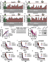 Figure 2—figure supplement 1.