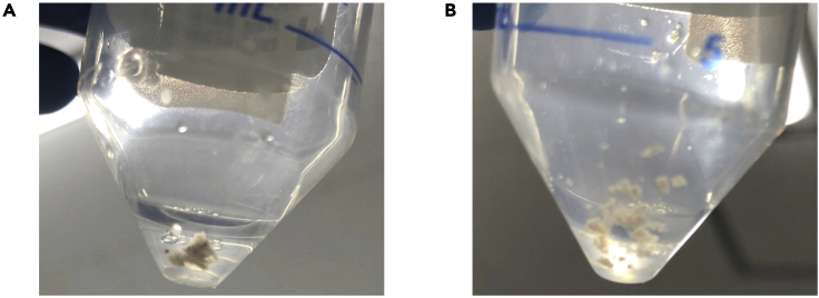 Figure 2