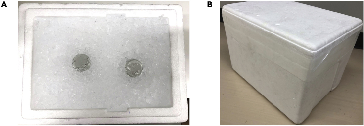 Figure 1