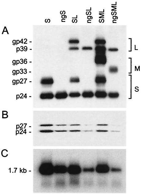 FIG. 2.