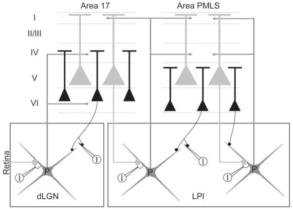 Fig. 13