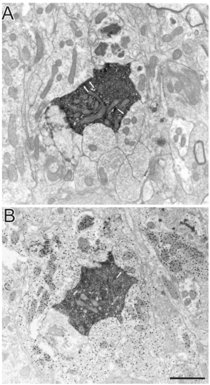 Fig. 10